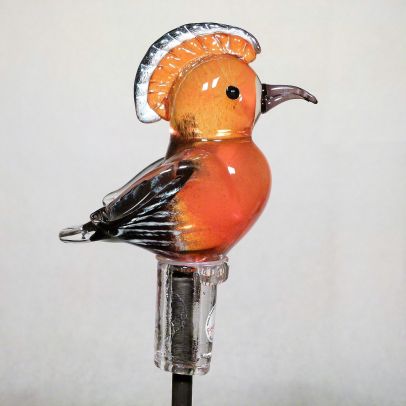 Gartenvogel Wiedehopf- Vogel des Jahres 2022