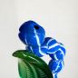 Preview: Raupe blau-weiss 3