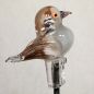 Preview: Gartenvogel Turteltaube
