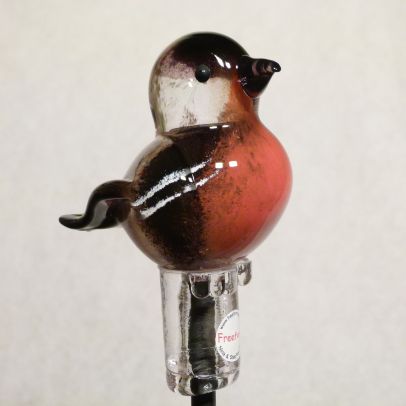 Gartenvogel Dompfaff