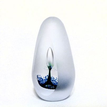Genesis grün-blau
