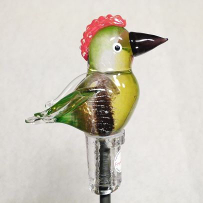 Gartenvogel Grünspecht