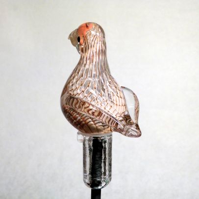 Preview: Gartenvogel Rebhuhn - Vogel des Jahres 2026