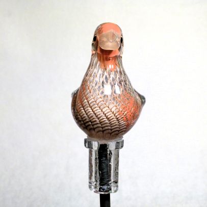 Preview: Gartenvogel Rebhuhn - Vogel des Jahres 2026