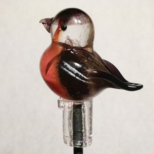 Gartenvogel Dompfaff