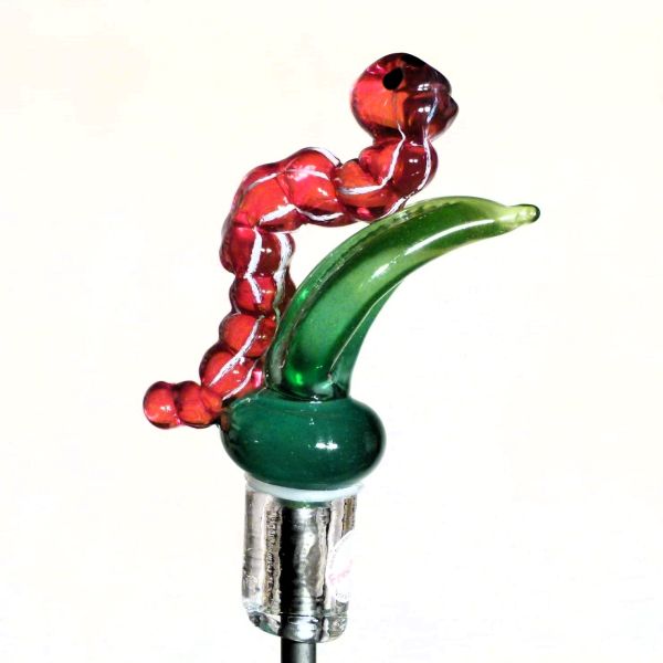 Raupe rot weiss-3