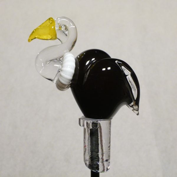 Gartenvogel Geier