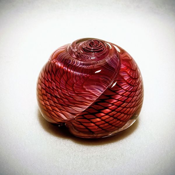 Briefbeschwerer Muschel Rubin