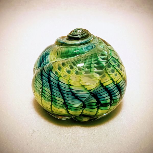 Briefbeschwerer Muschel Grüntöne