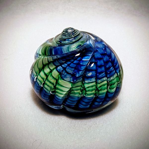 Briefbeschwerer Muschel Blau-Grün