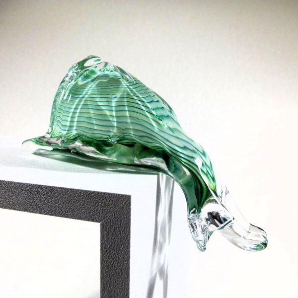 Kantenschnecke grüntöne