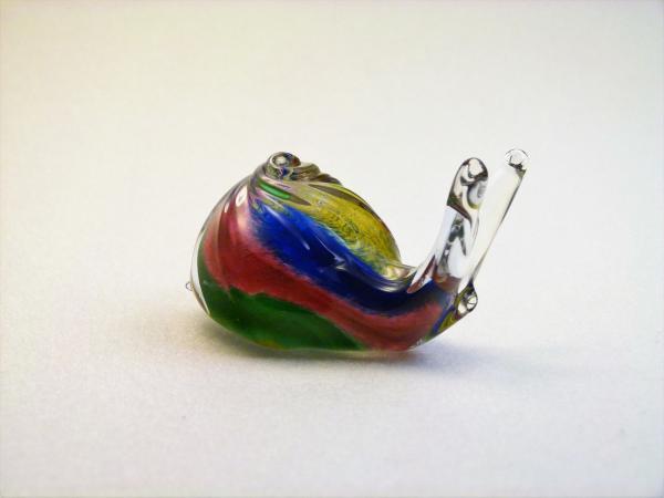 Mini Schnecke bunt