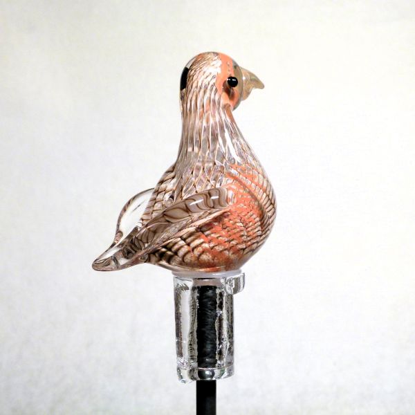 Gartenvogel Rebhuhn - Vogel des Jahres 2026