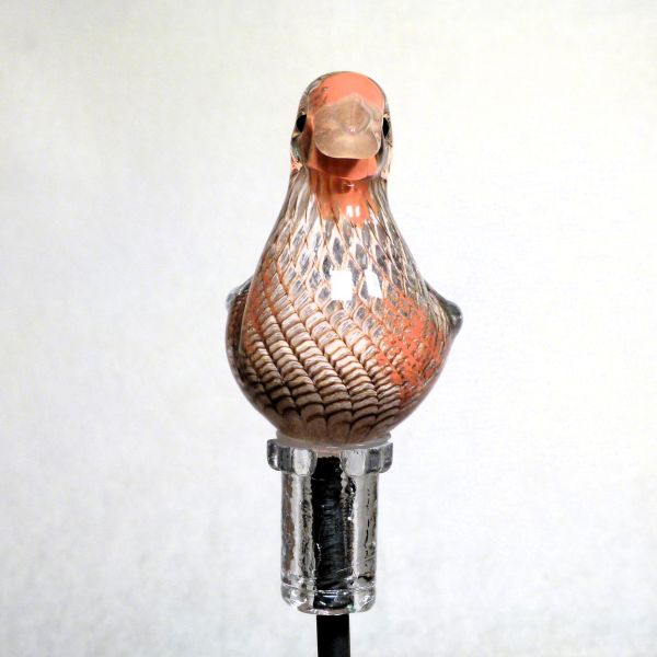 Gartenvogel Rebhuhn - Vogel des Jahres 2026