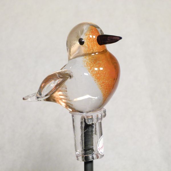 Gartenvogel Rotkehlchen