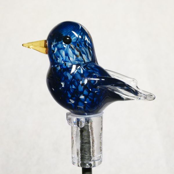 Gartenvogel Star