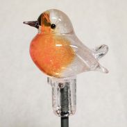 Gartenvogel Rotkehlchen - Vogel des Jahres 2021